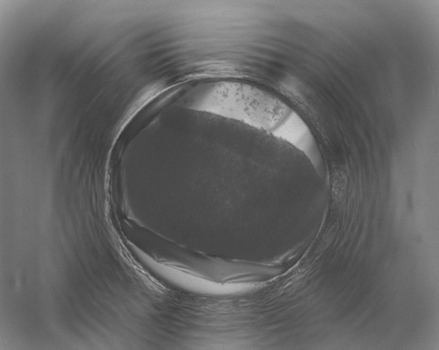 X0000060791378200512011654