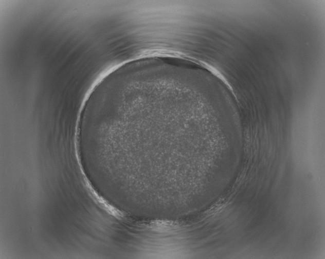 X0000060791379200512011654