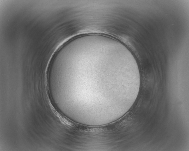 X0000060791380200512011654