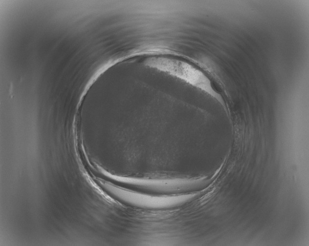 X0000060791382200512011654