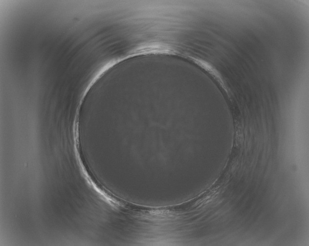 X0000060791383200512011654