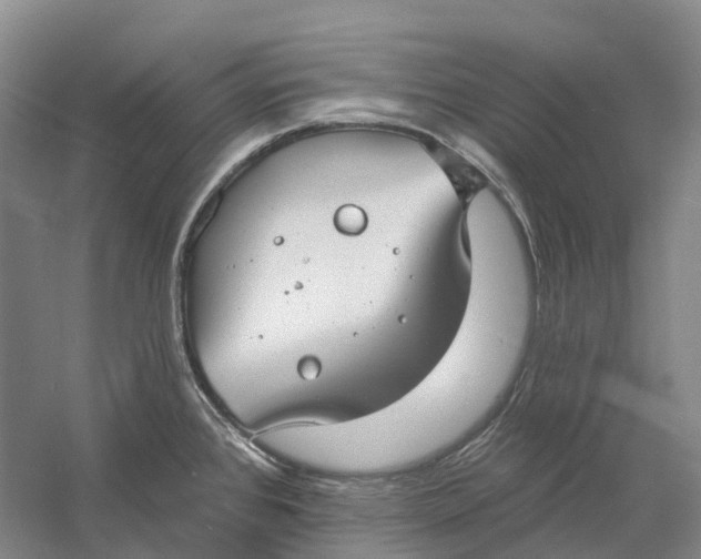 X0000060791384200512011654