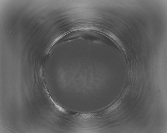 X0000060791385200512011654