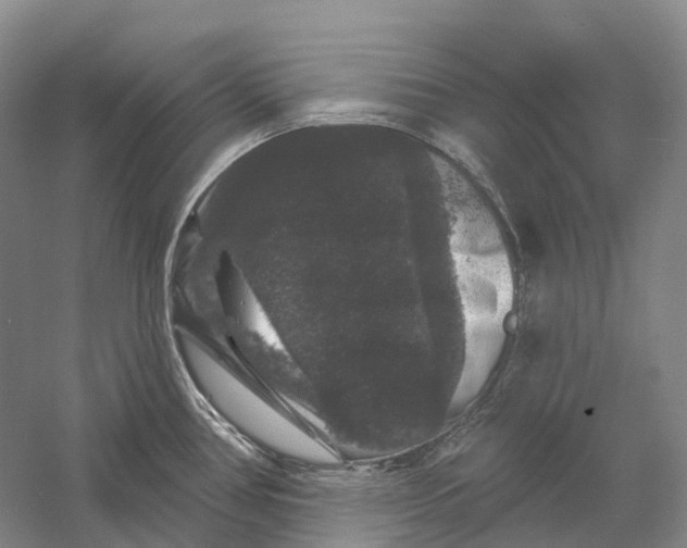 X0000060791386200512011654