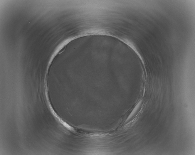 X0000060791389200512011654