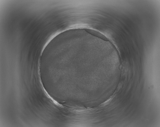 X0000060791390200512011654