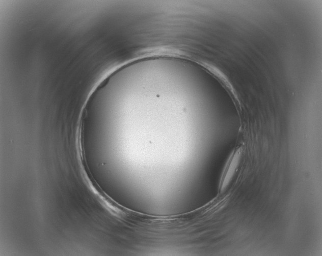 X0000060791391200512011654