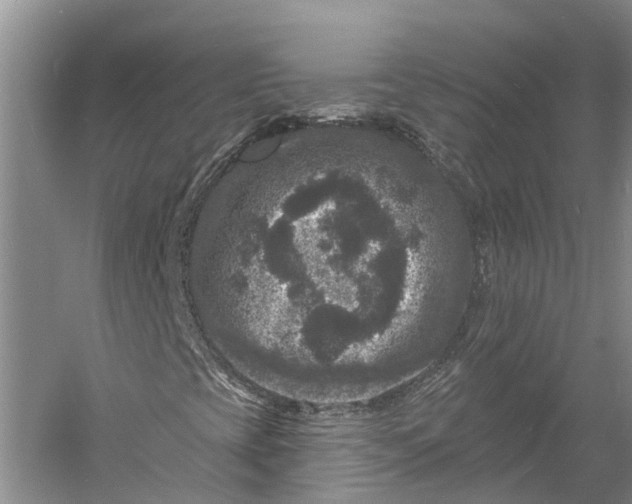 X0000060791393200512011653