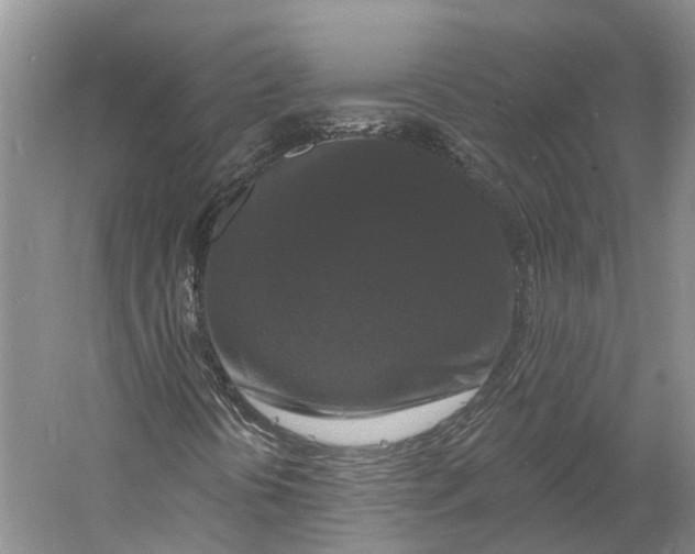 X0000060791394200512011653