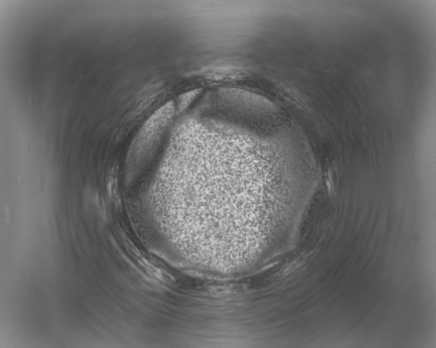 X0000060791396200512011653