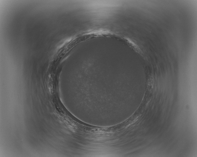 X0000060791398200512011653