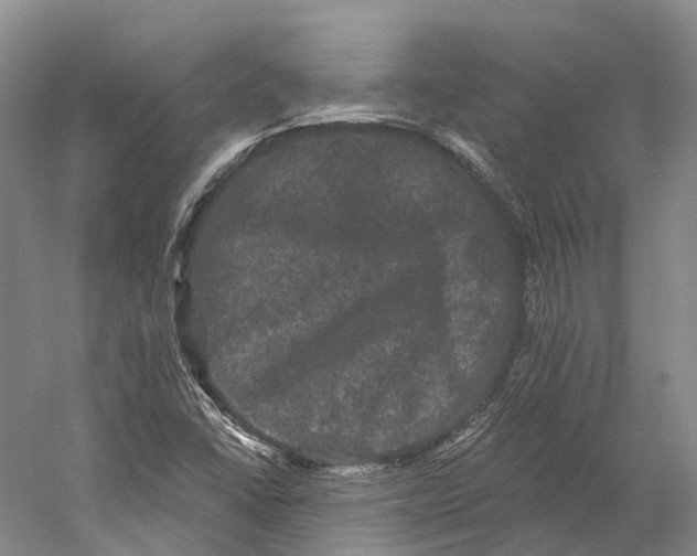 X0000060791406200512011653