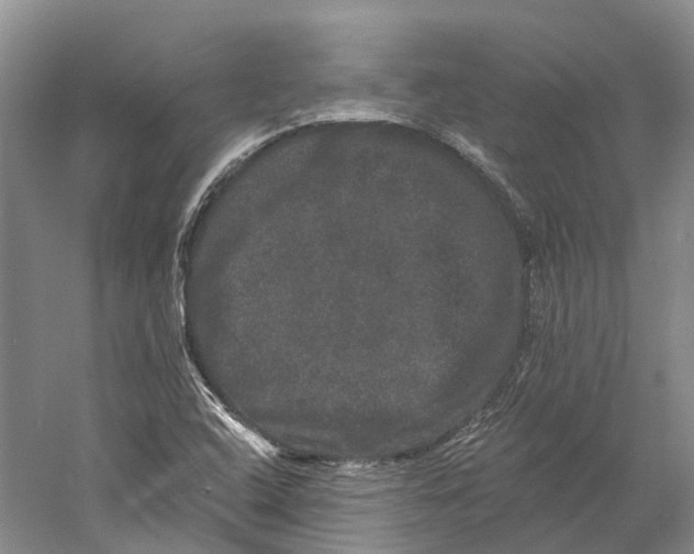 X0000060791408200512011653