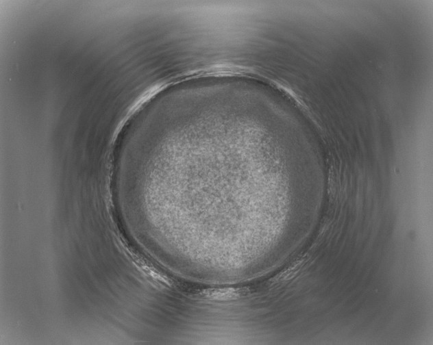 X0000060791410200512011653