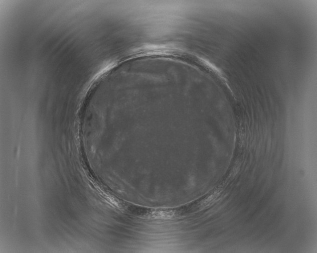 X0000060791411200512011653