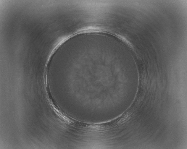 X0000060791413200512011653