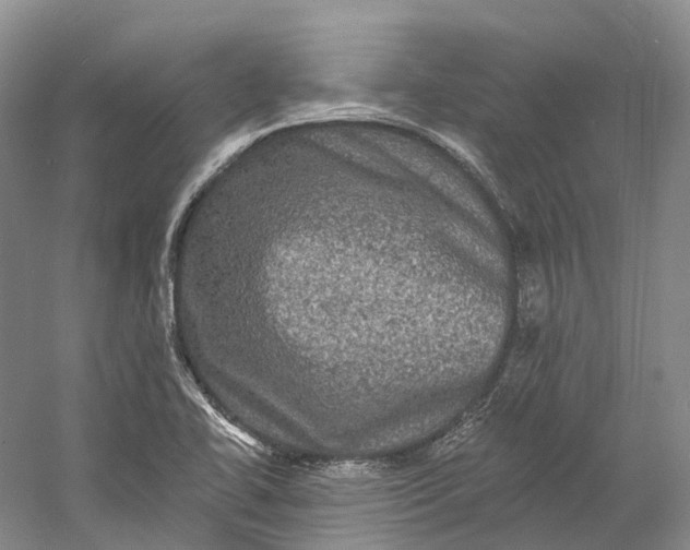 X0000060791414200512011653