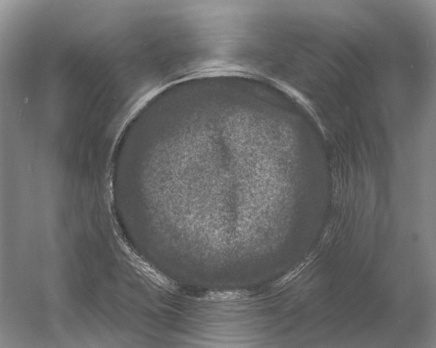 X0000060791415200512011653