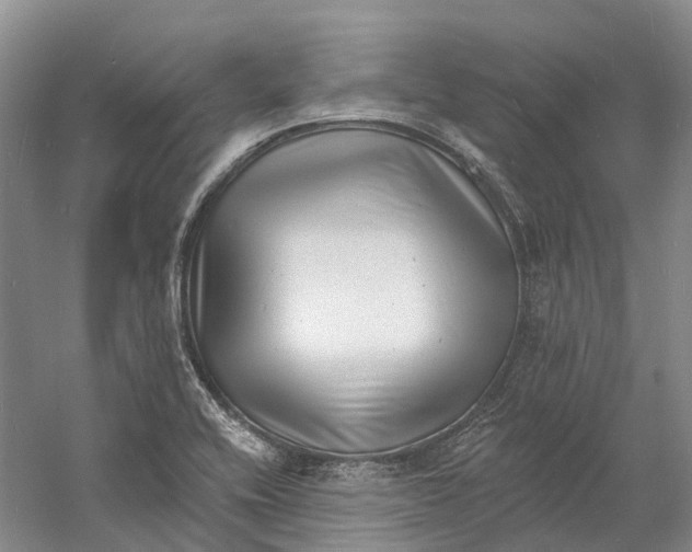 X0000060791416200512011653