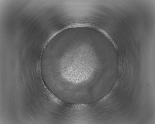 X0000060791417200512011654