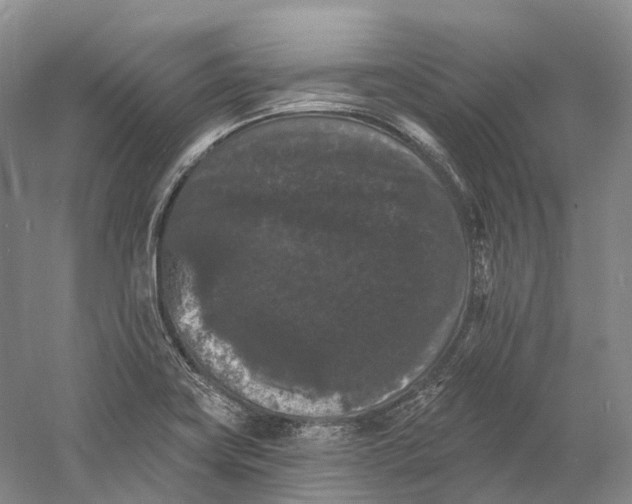 X0000060791419200512011654