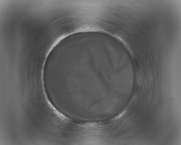 X0000060791422200512011654