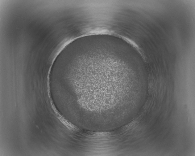 X0000060791423200512011654