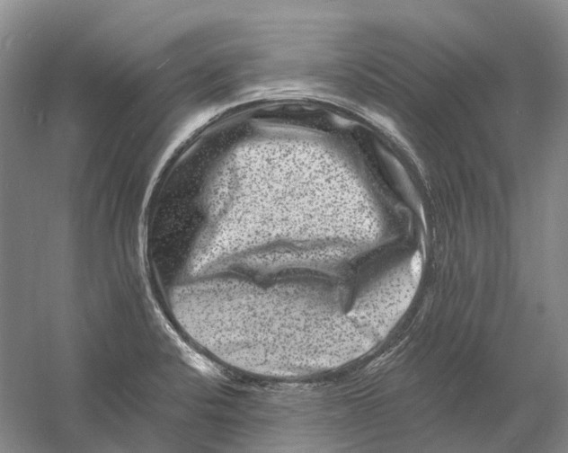 X0000060791424200512011654