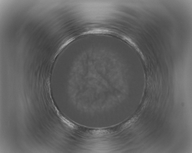 X0000060791425200512011654