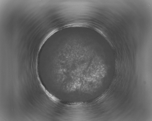 X0000060791426200512011654