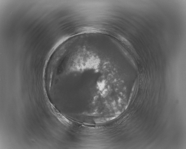 X0000060791427200512011654