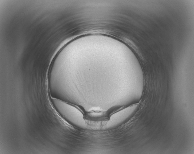 X0000060791428200512011654