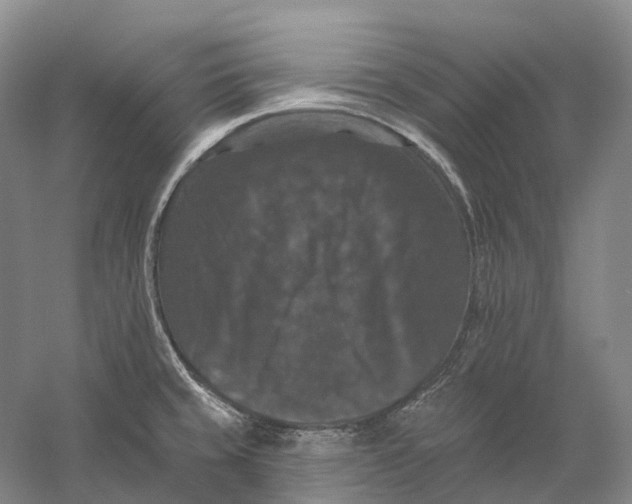 X0000060791429200512011654