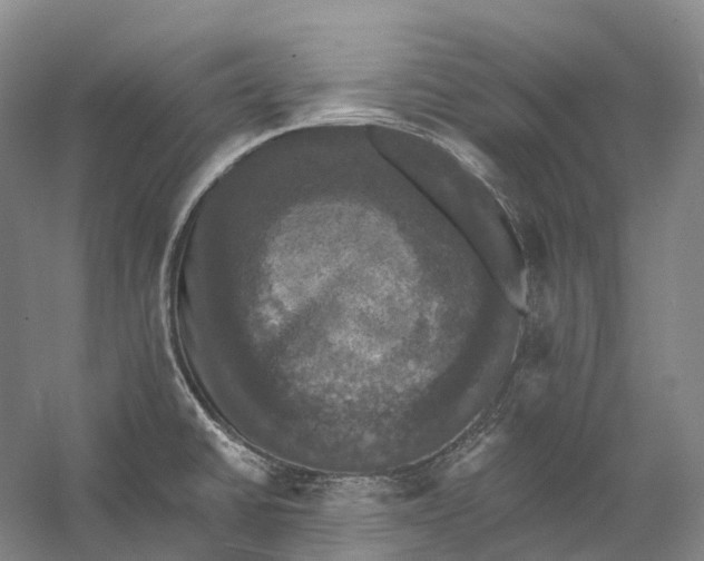 X0000060791430200512011654