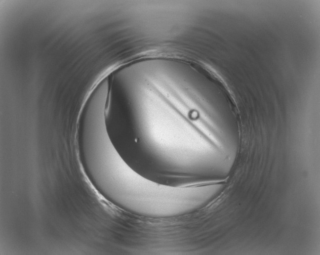 X0000060791434200512011654