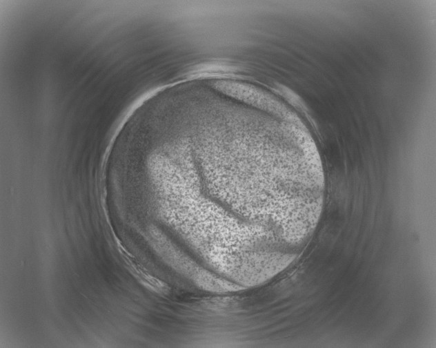 X0000060791435200512011654