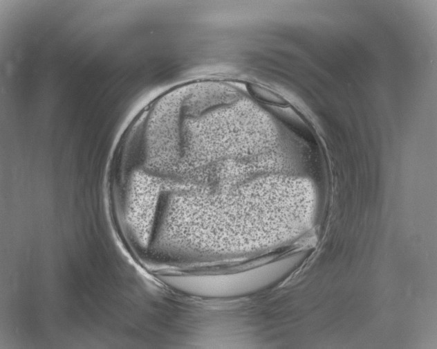 X0000060791440200512011654