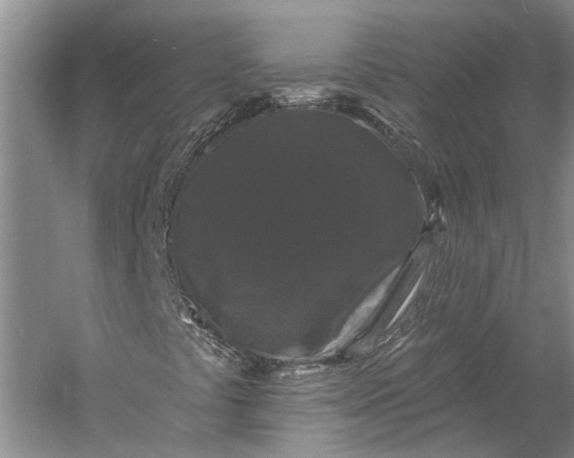 X0000060791441200512011653