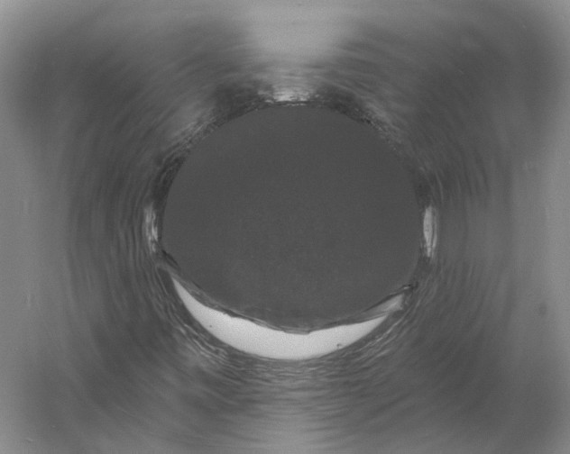 X0000060791443200512011653