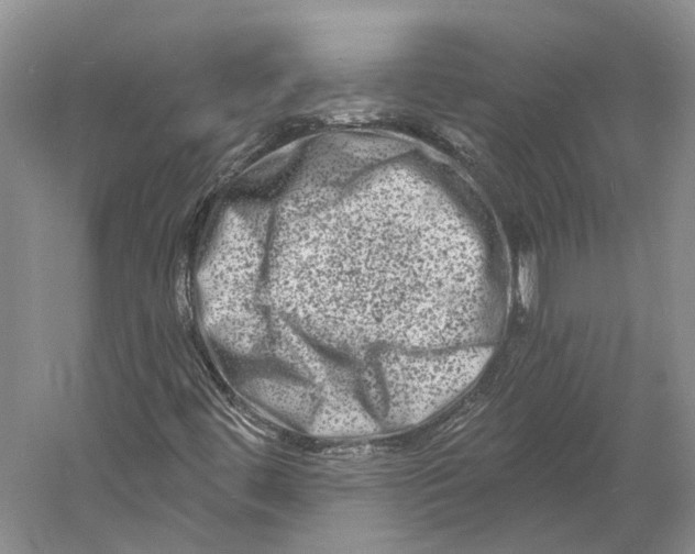 X0000060791444200512011653