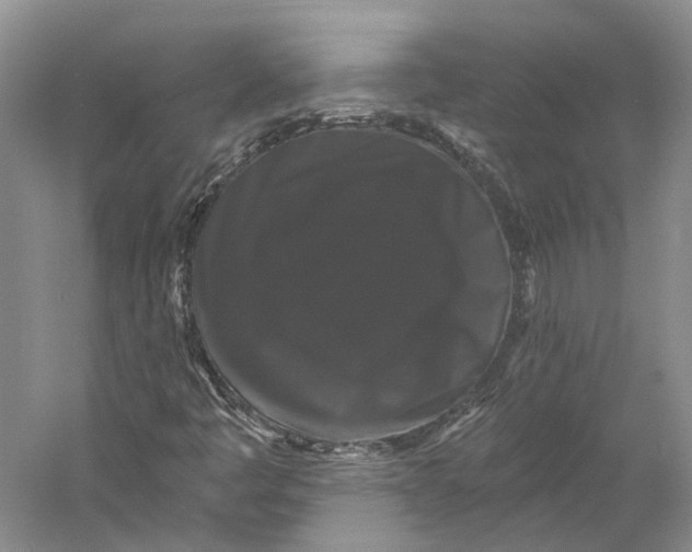 X0000060791445200512011653