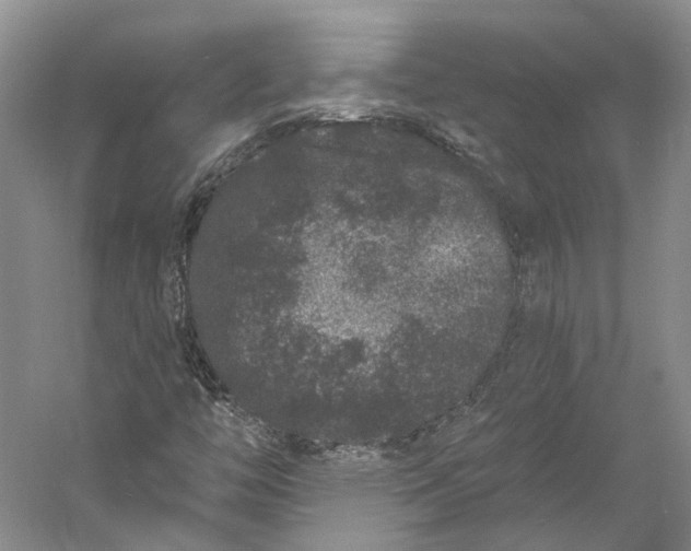 X0000060791446200512011653