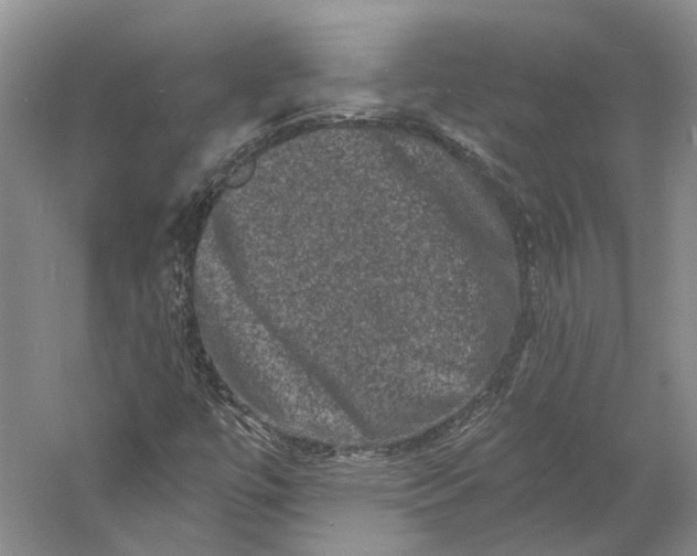 X0000060791447200512011653