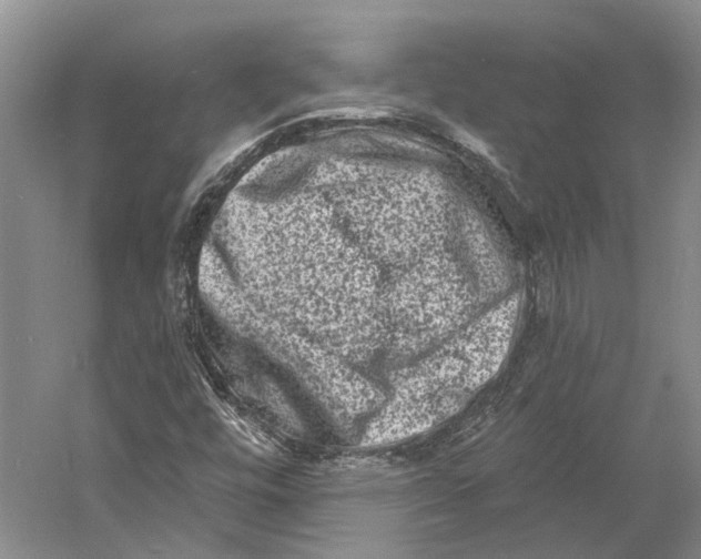 X0000060791448200512011653