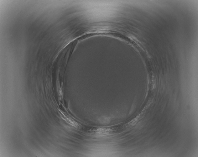 X0000060791449200512011653