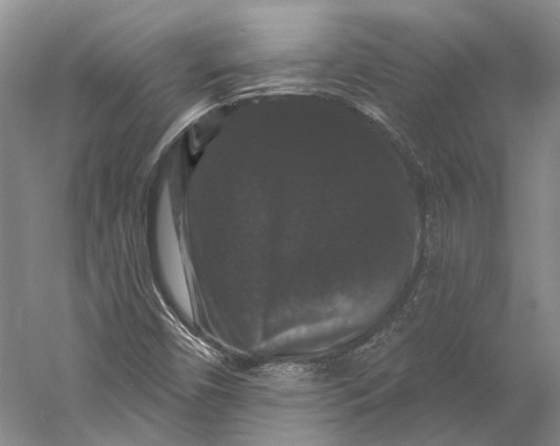 X0000060791450200512011653