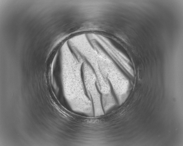 X0000060791452200512011653