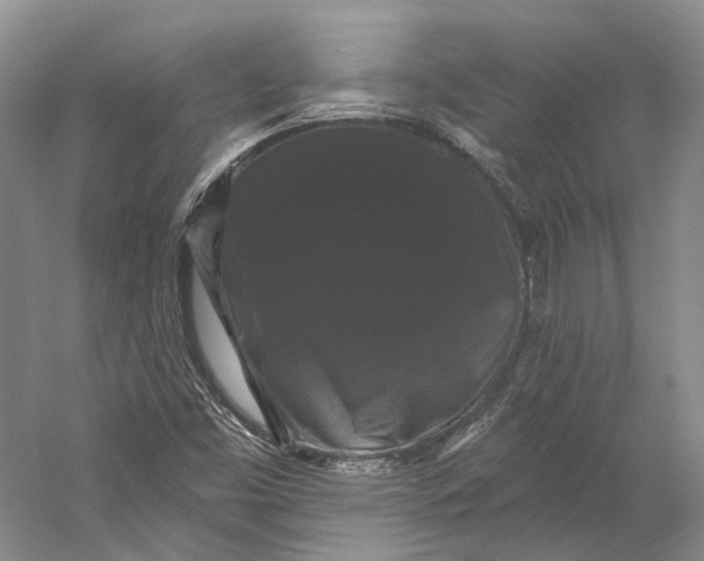 X0000060791453200512011653