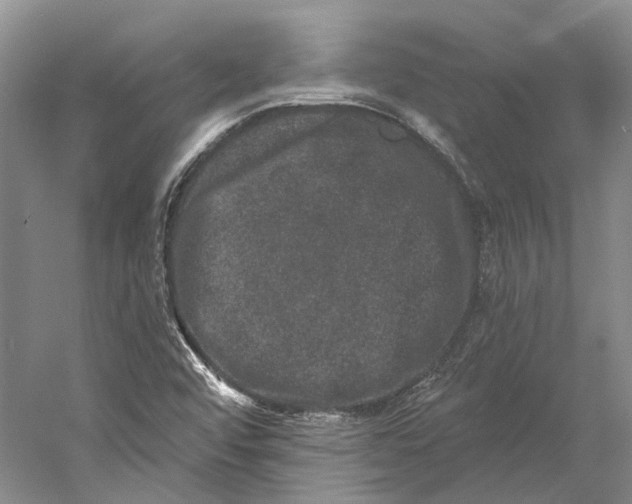 X0000060791456200512011653