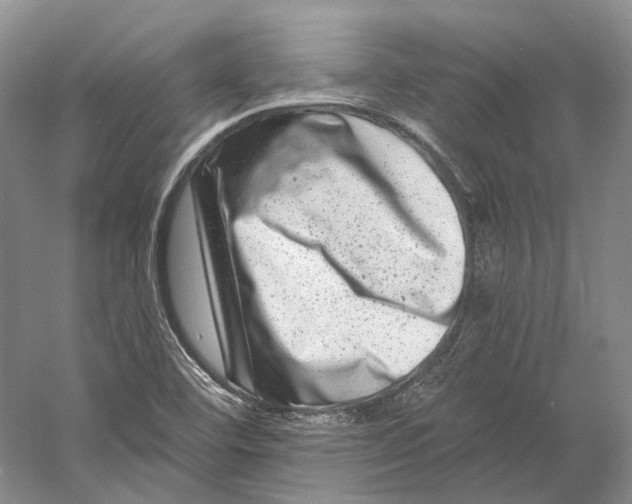 X0000060791460200512011653